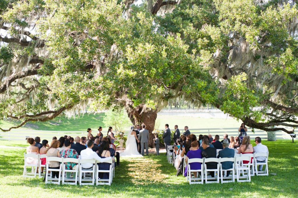 couple getting married under an oak tree