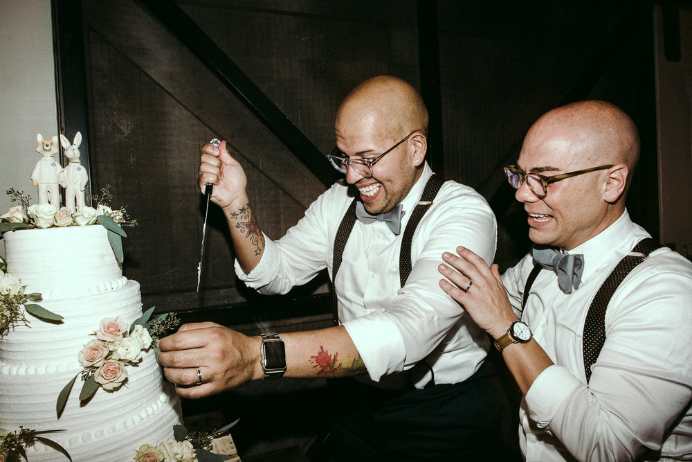 two grooms cutting wedding cake